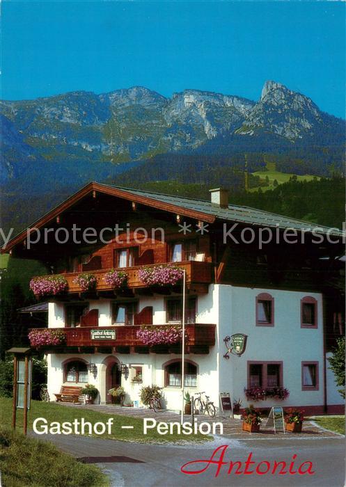 Lofer Gasthof Pension Antonia