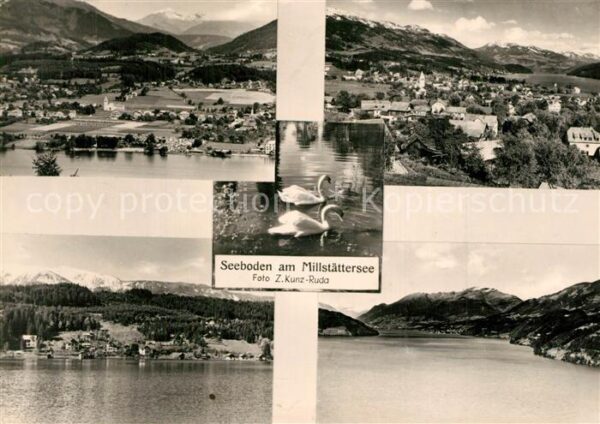 Seeboden Millstaettersee Landschaftspanorama Alpen Schwäne
