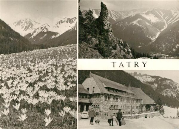 Tatry Zachodnie Landschaftspanorama Western Tatras Berg