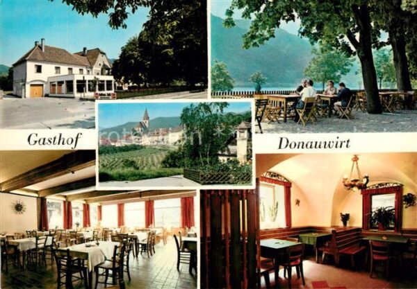 Weissenkirchen Wachau Gasthof Donauwirt Terrasse Motiv mit Ki