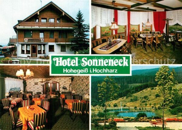 Hohegeiss Harz Hotel Sonneneck Restaurant Landschaftsp
