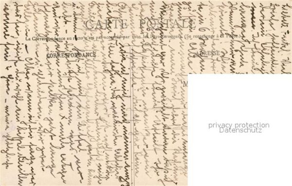 Schafe Berger Vosgien – Bild 2