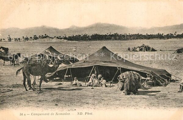 Kamel  Camel Chameau Campement de Nomades