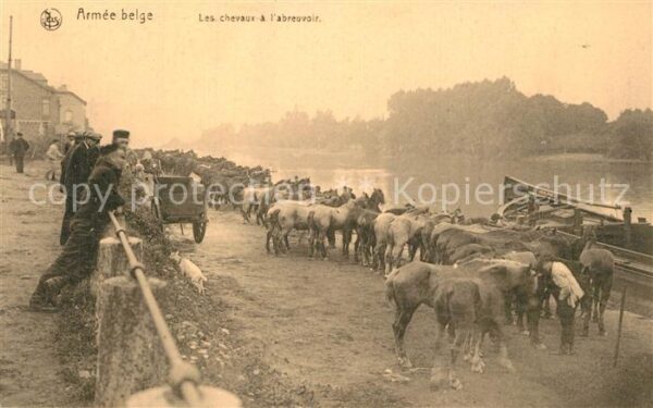 Militaria Belgien Armee Belge Chevaux a l'Abreuvoir