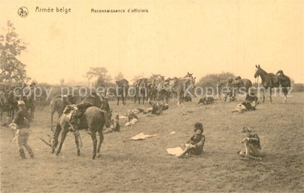 Militaria Belgien Armee Belge Reconnaissance d_officiers