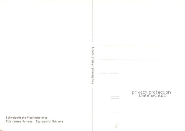 Pfadfinder Schweiz Traubenlese – Bild 2