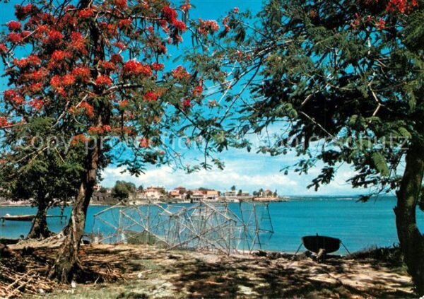 Guadeloupe L'autre bord a Moule