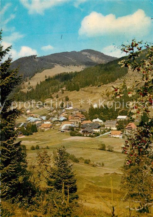 Menzenschwand Panorama Höhenluftkurort im Schwarzwald
