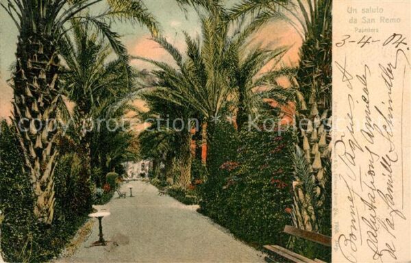 San Remo Palmiers