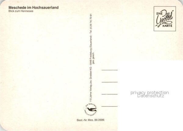 Meschede Fliegeraufnahme mit Hennesee – Bild 2