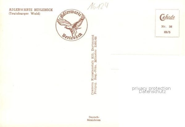 Berlebeck Fliegeraufnahme Adlerwarte – Bild 2