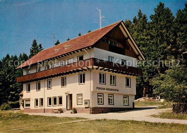 Kniebis Freudenstadt Pension Kniebishhe