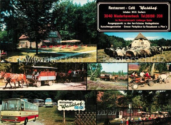 Niederhaverbeck Restaurant Cafe Waldhof