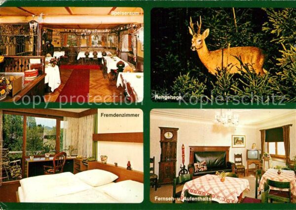 Grossholzleute Gästehaus Adler Fremdenzimmer Rehgehege