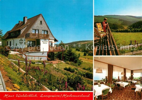 Langewiese Haus Waldesblick Gastraum Panorama