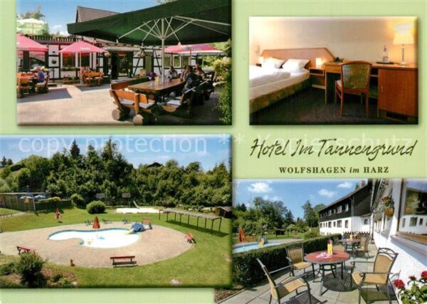 Wolfshagen Harz Hotel Im Tannengrund Zimmer Terrasse Pa