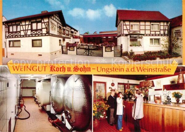 Ungstein Weingut Koch und Sohn Weinkeller Probie