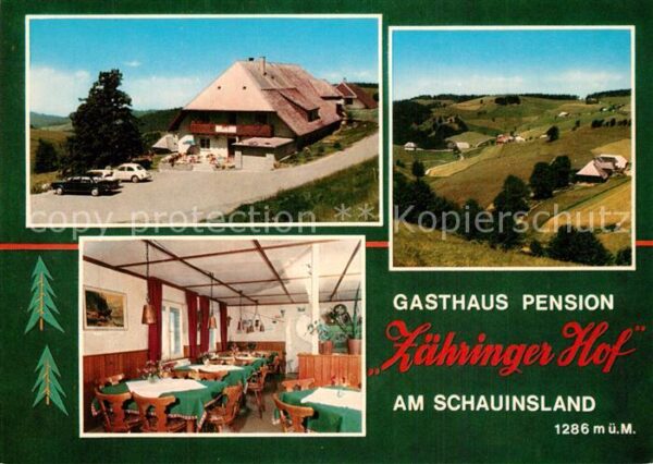 Muenstertal Schwarzwald Gasthaus Pension Zähringer Hof Landscha