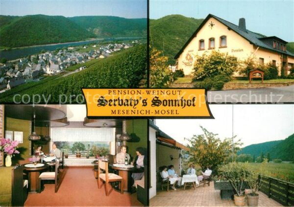 Mesenich Cochem Pension Weingut Sevaty's Sonnhof Landsc