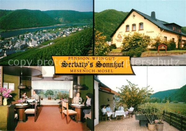 Mesenich Cochem Pension Weingut Sevaty's Sonnhof Landsc