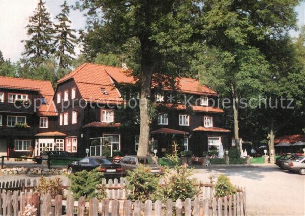 Mandelholz Harz Hotel Restaurant Cafe Grüne Tanne
