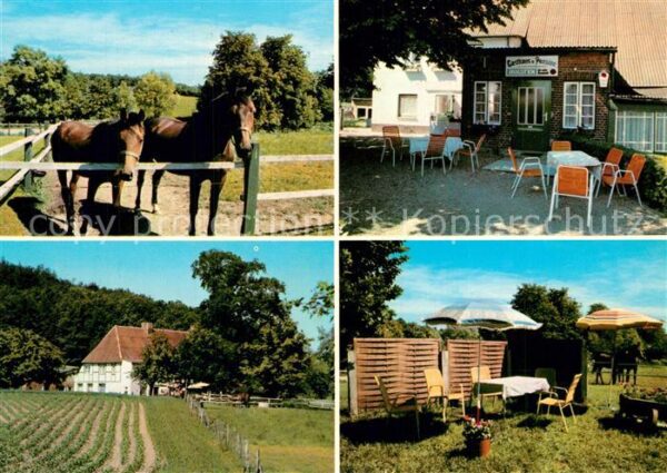 Boekensberg Gasthaus Pension Dittmann Garten Terras