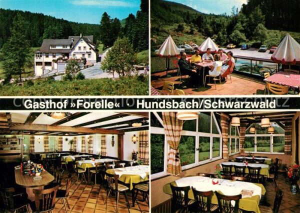 Hundsbach Forbach Gasthof Pension Forelle Terrasse im Sch