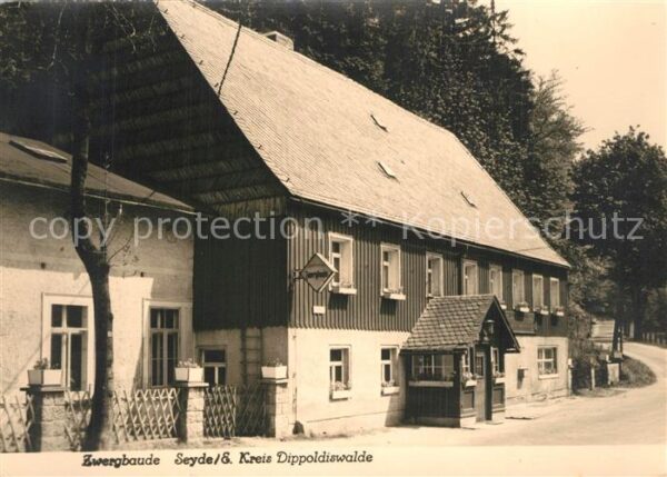 Seyde Zwergbaude
