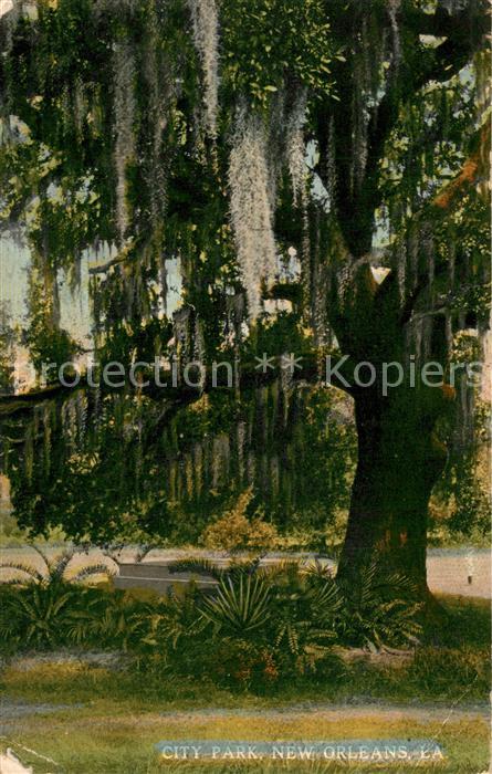 New Orleans Louisiana City Park