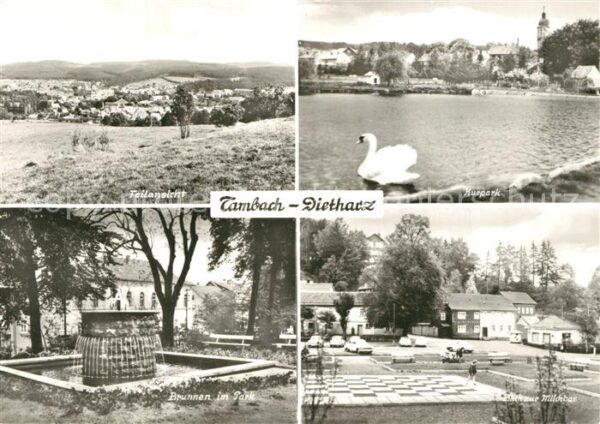 Tambach-Dietharz Panorama Kurpark Brunnen im Park Milchb