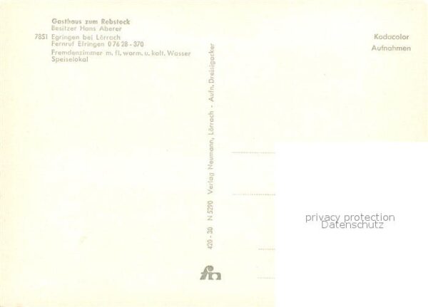 Egringen Gasthaus zum Rebstock Speisesaal Panora – Bild 2