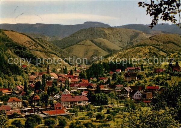 Oppenau Panorama