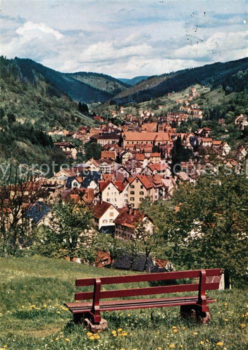 Schramberg Blick vom Tirschneckerberg