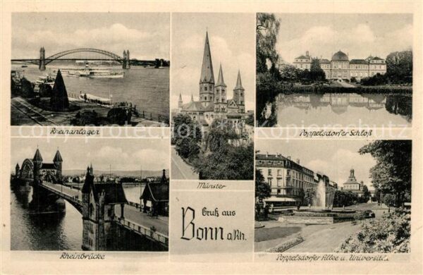 Bonn Rhein Rheinanlagen Poppelsdorfer Schloss Rhei