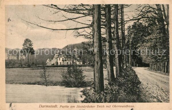 Darmstadt Partie am Steinbrücker Teich mit Oberwa