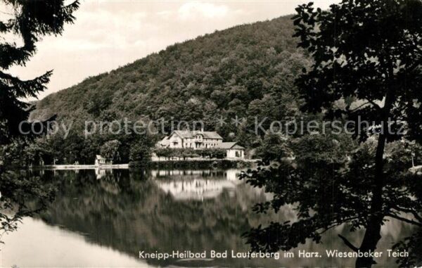 Bad Lauterberg Wiesenbeker Teich