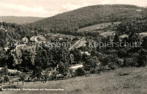 Bad Gottleuba-Berggiesshuebel Gottleubatal mit Panoramahöhe