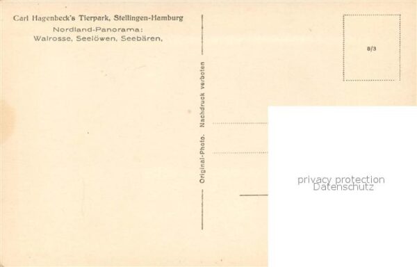 Hagenbeck Tierpark Stellingen-Hamburg Walrosse Se – Bild 2