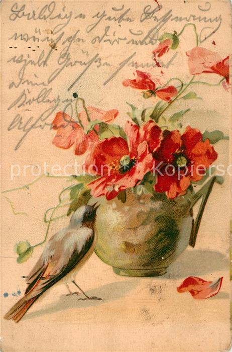 Voegel Mohnblumen Litho