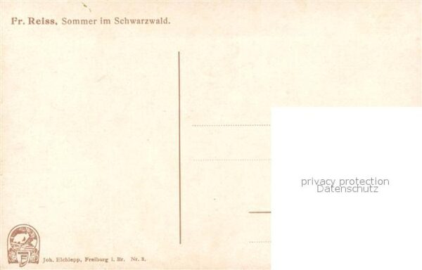 Reiss Fritz Sommer im Schwarzwald – Bild 2