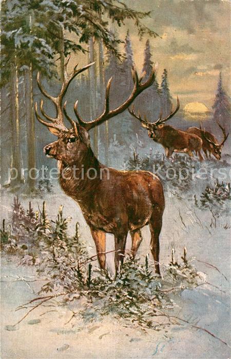 Hirsch K?nstlerkarte