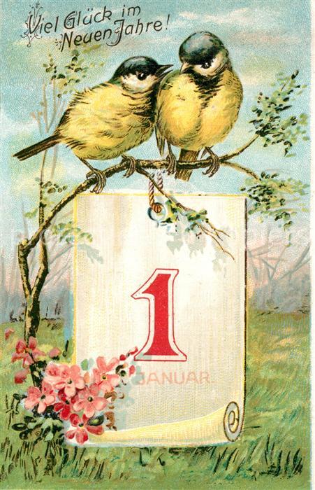 Voegel Neujahr 1. Januar Litho