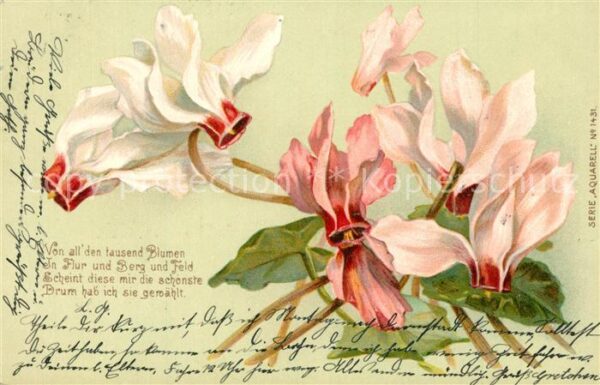 Blumen Gedicht Litho