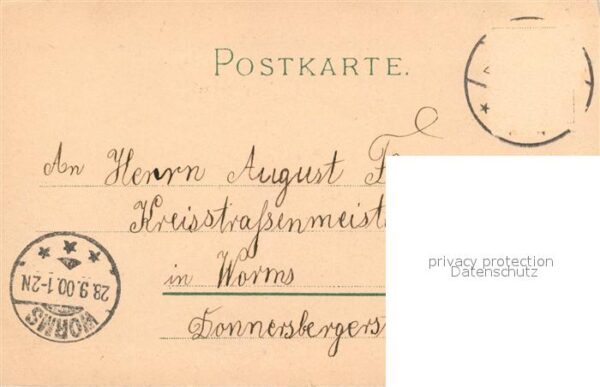 Tauben Vergissmeinnicht Vers Litho – Bild 2