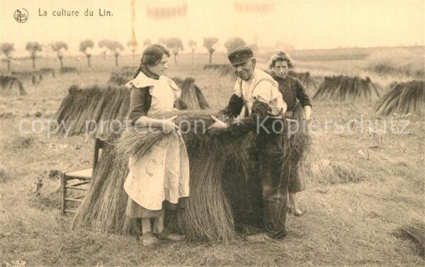 Ernte Landwirtschaft Culture du Lin Leinen