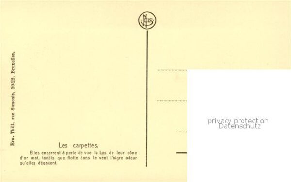Ernte Landwirtschaft Culture du Lin Carpettes – Bild 2