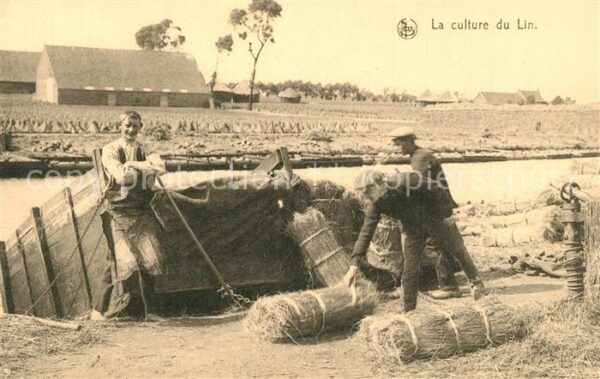 Ernte Landwirtschaft Culture du Lin Mise en Ballon Leinen