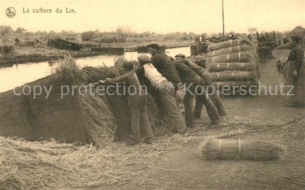 Ernte Landwirtschaft Culture du Lin Ballon charge est pousse