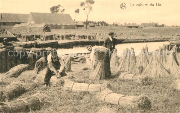 Ernte Landwirtschaft Culture du Lin Forme les Bottes avant l