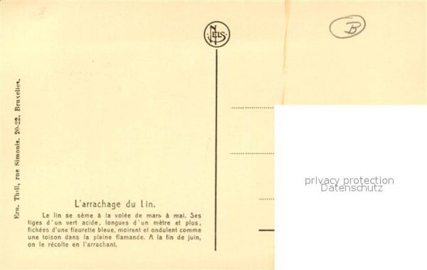 Ernte Landwirtschaft Culture du Lin Arrachage – Bild 2